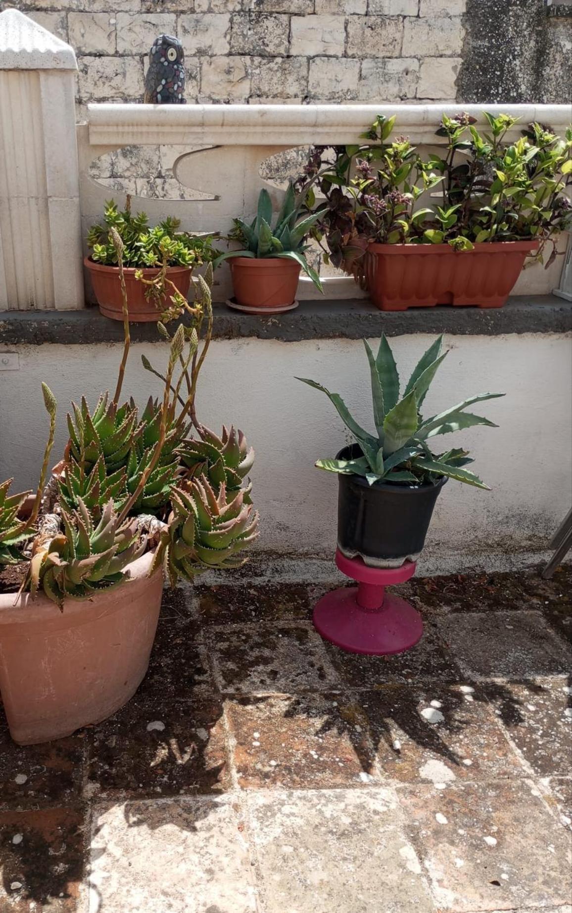 Tappa A Bitonto Apartment ภายนอก รูปภาพ